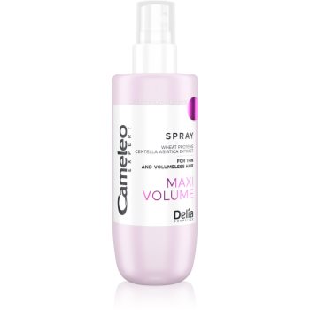 Delia Cosmetics Cameleo Expert Maxi Volume Spray spray de coafat extra volum - imagine 2